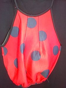 Kids Costumes to Hire - Ladybug Outfit